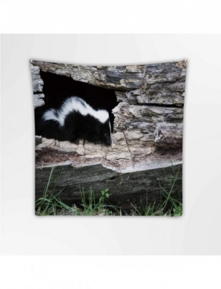 Goggle Baby Skunk Wisconsin-Wall Hanging Tapestry Skunk for Decor 39.3X39.3Inch - Color 10 - C61992IAQTO $24.87