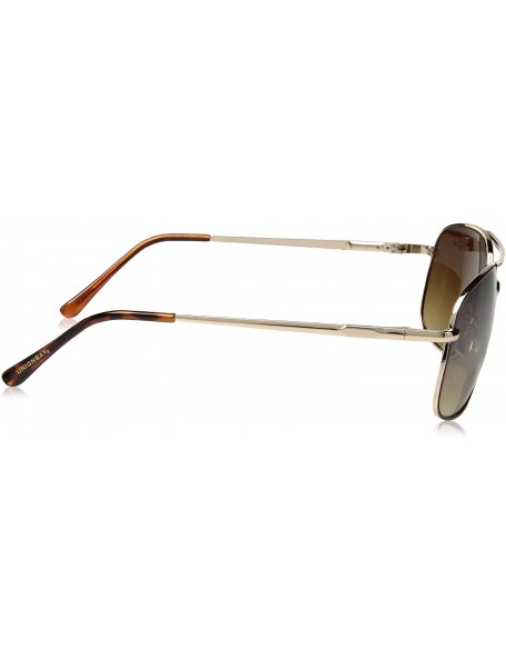 Aviator Men's U934 Aviator Sunglasses- 61 mm - Gold & Brown - CH1296VPM0N $19.06